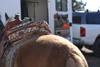 Trailer Organizer