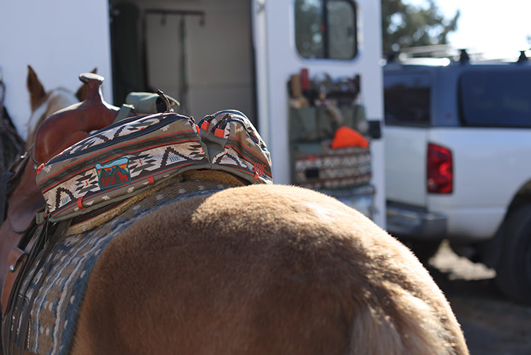 Trailer Organizer